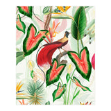Vintage Bird Of Paradise in Jungle (Print Only) thumbnail