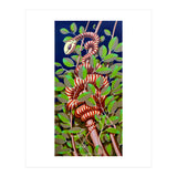 Eden (Print Only) thumbnail
