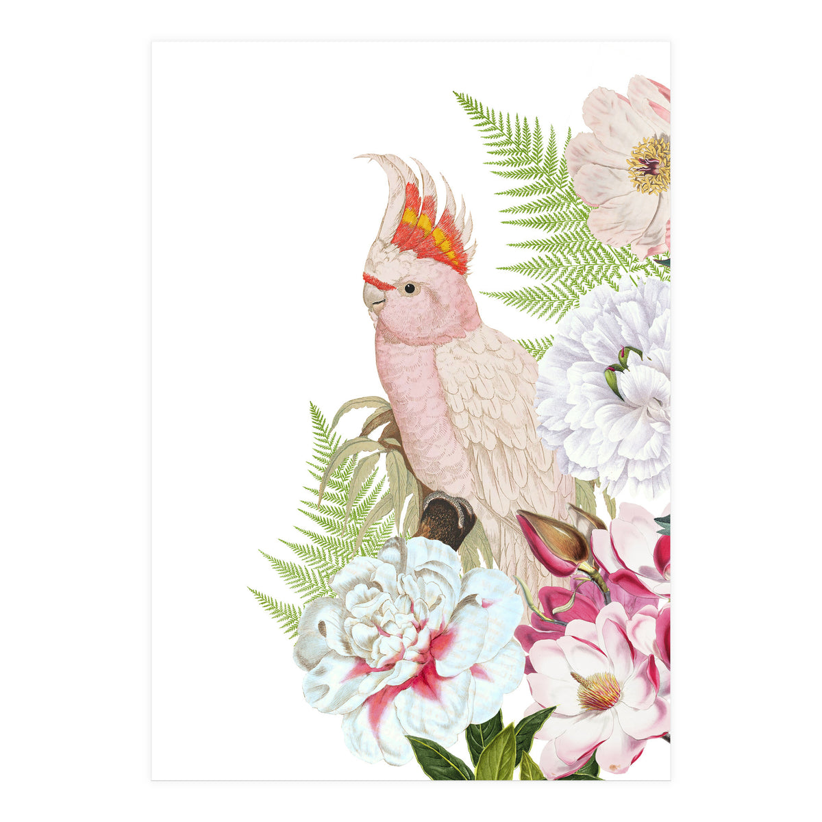 Cockatoo in Flower Jungle  (Print Only)
