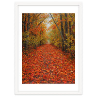 Lush Autumn Forest Path Covered