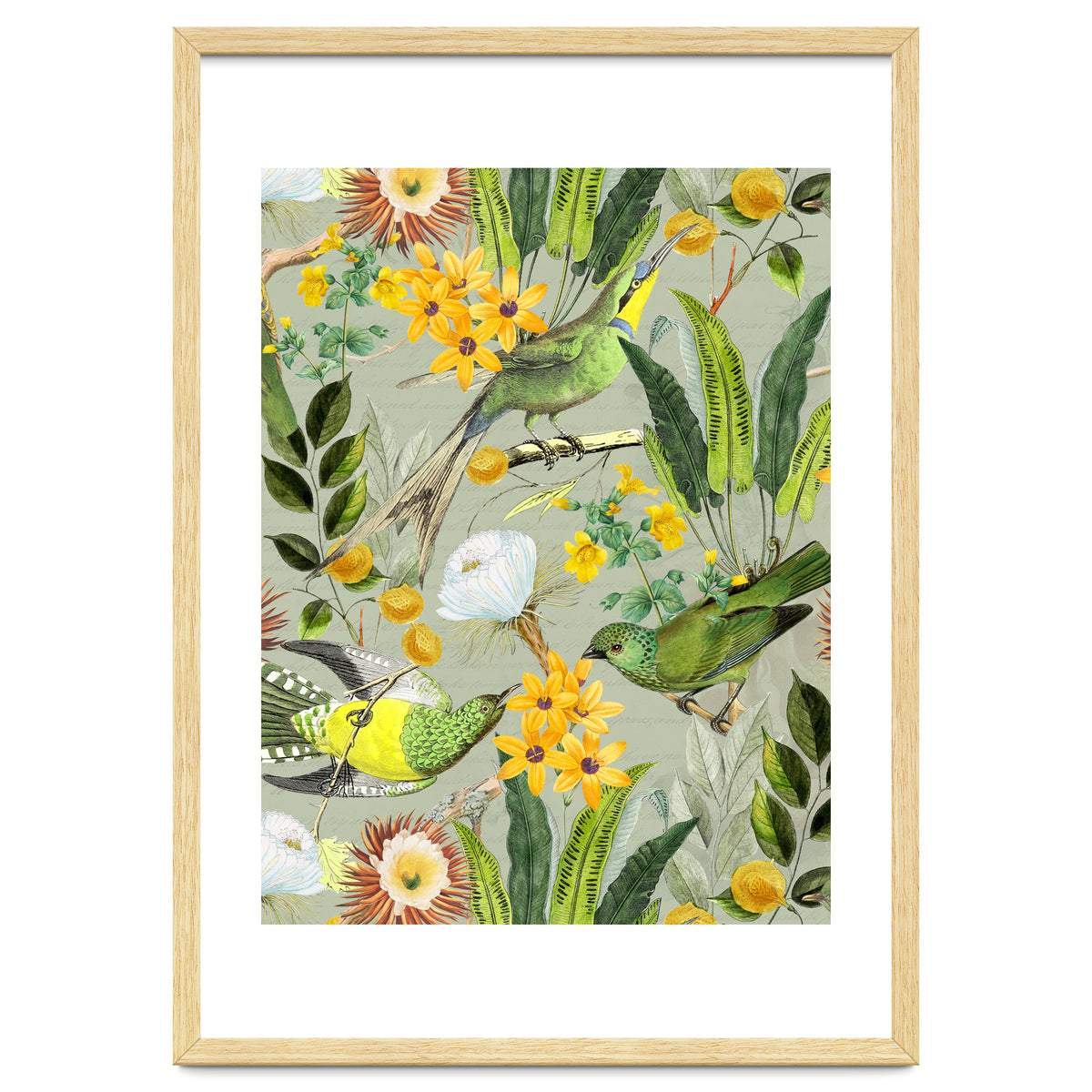 Tropical Birds in Exotic Jungle