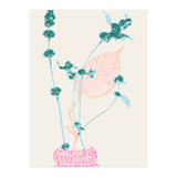 Plant based happyness Herb 1 still life (Print Only) thumbnail