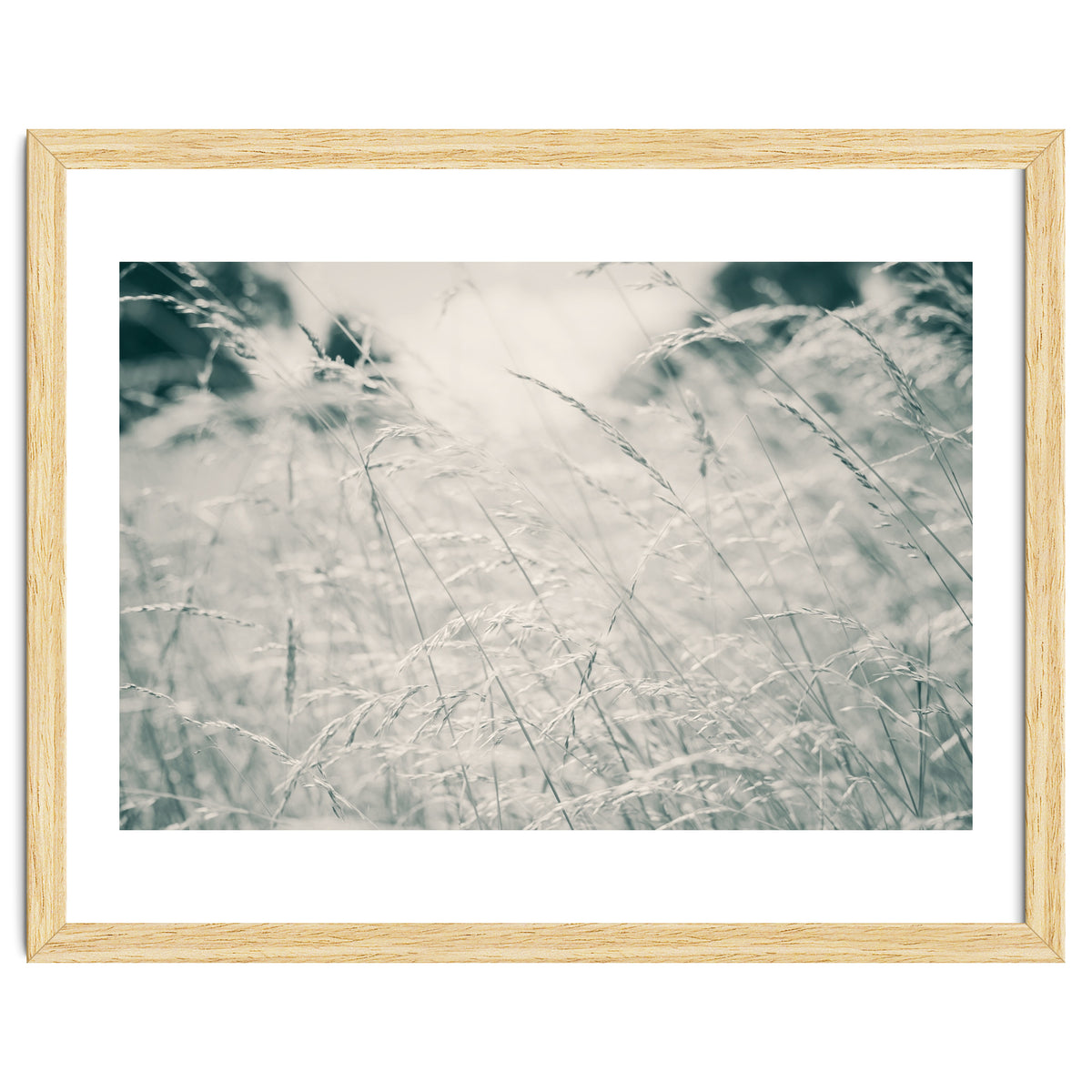 Walking Through Long Grass
