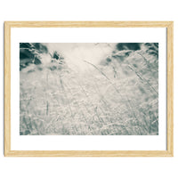 Walking Through Long Grass
