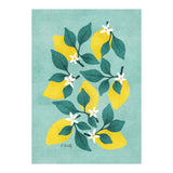 Lemon Blossom (Print Only) thumbnail