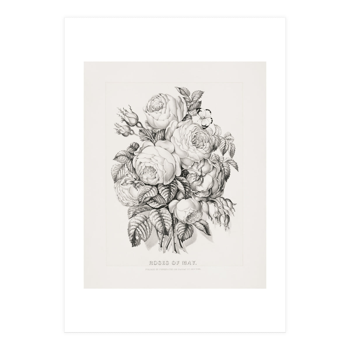 Currier & Ives – Rose of May (1870) (Print Only)