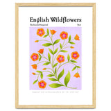 English Wildflowers | Scarlet Pimpernel thumbnail