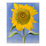 Georgia O’Keeffe – Sunflower, New Mexico (1935) | Bold Modernist Floral Painting Inspired by the American Southwest (Print Only) thumbnail