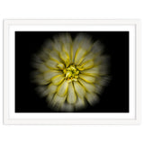 Backyard Flowers No 86 Color Flow Version thumbnail