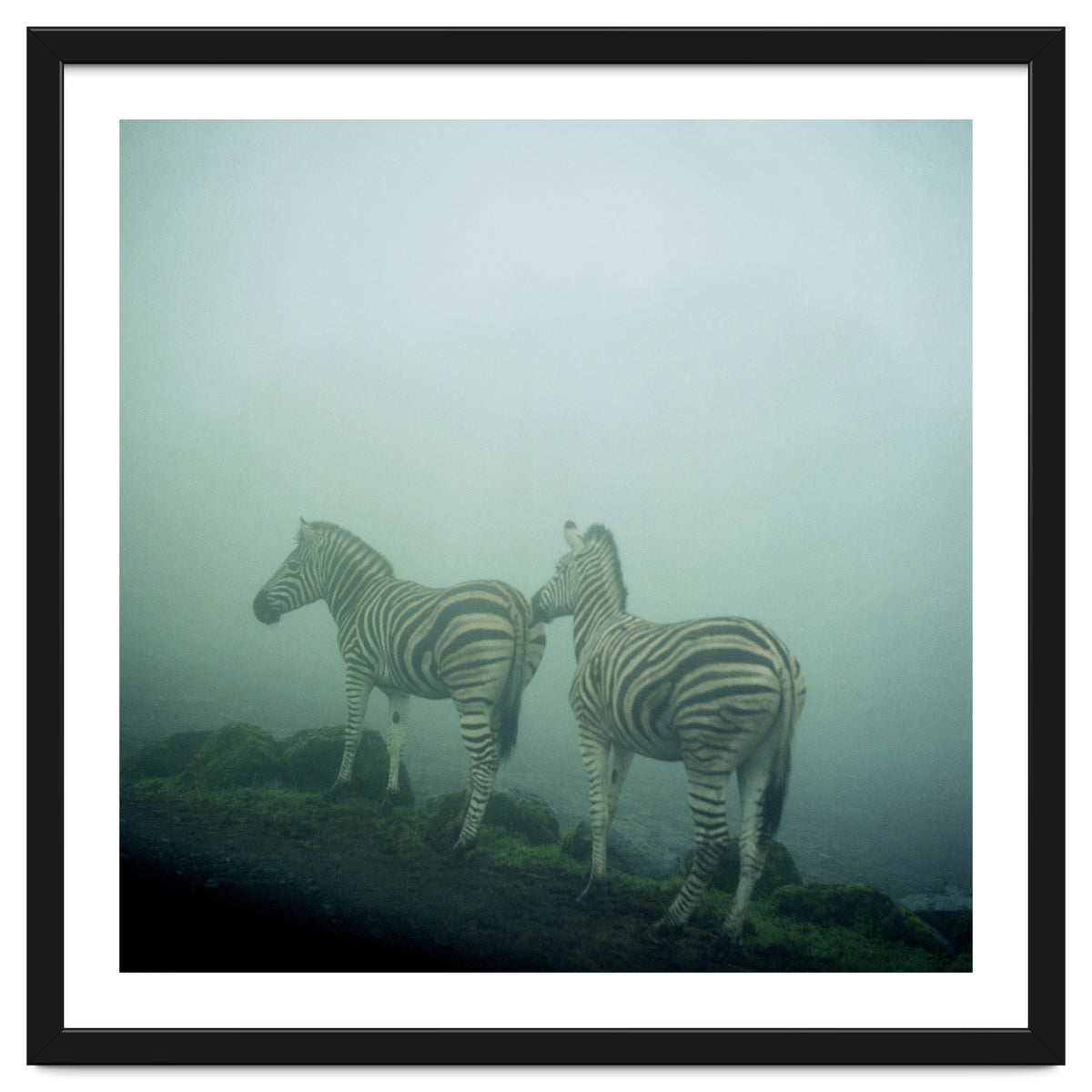 Silence of breath - 14