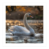 Graceful Swan Gliding On Reflective Water Surface (Print Only) thumbnail