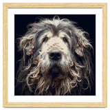 Old Dog 010 thumbnail