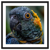Close Up Of A Wet Macaw Parrot Head thumbnail
