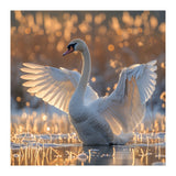 Swan Spreading Wings In Water Sunlight (Print Only) thumbnail