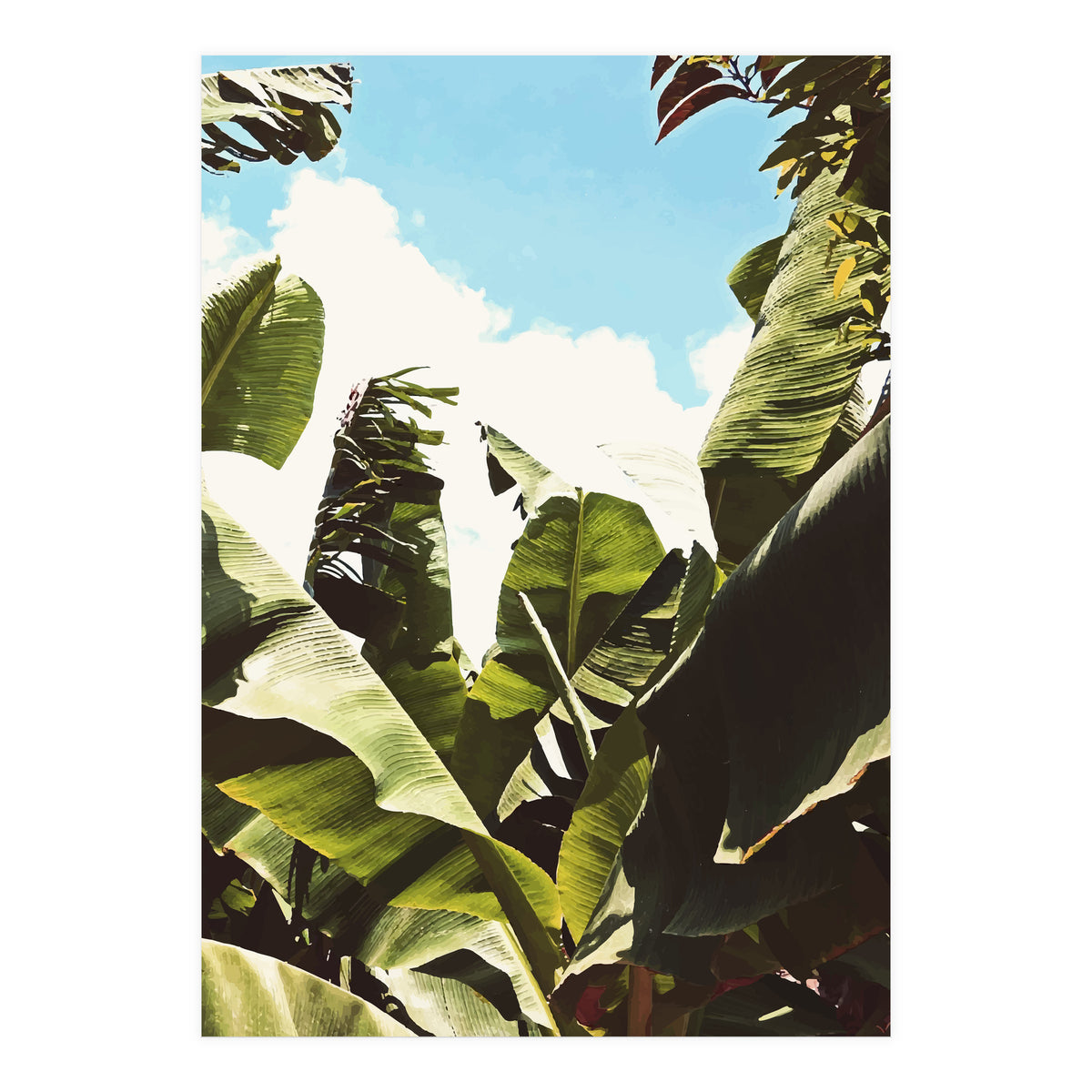 Silent Compilation (Print Only)