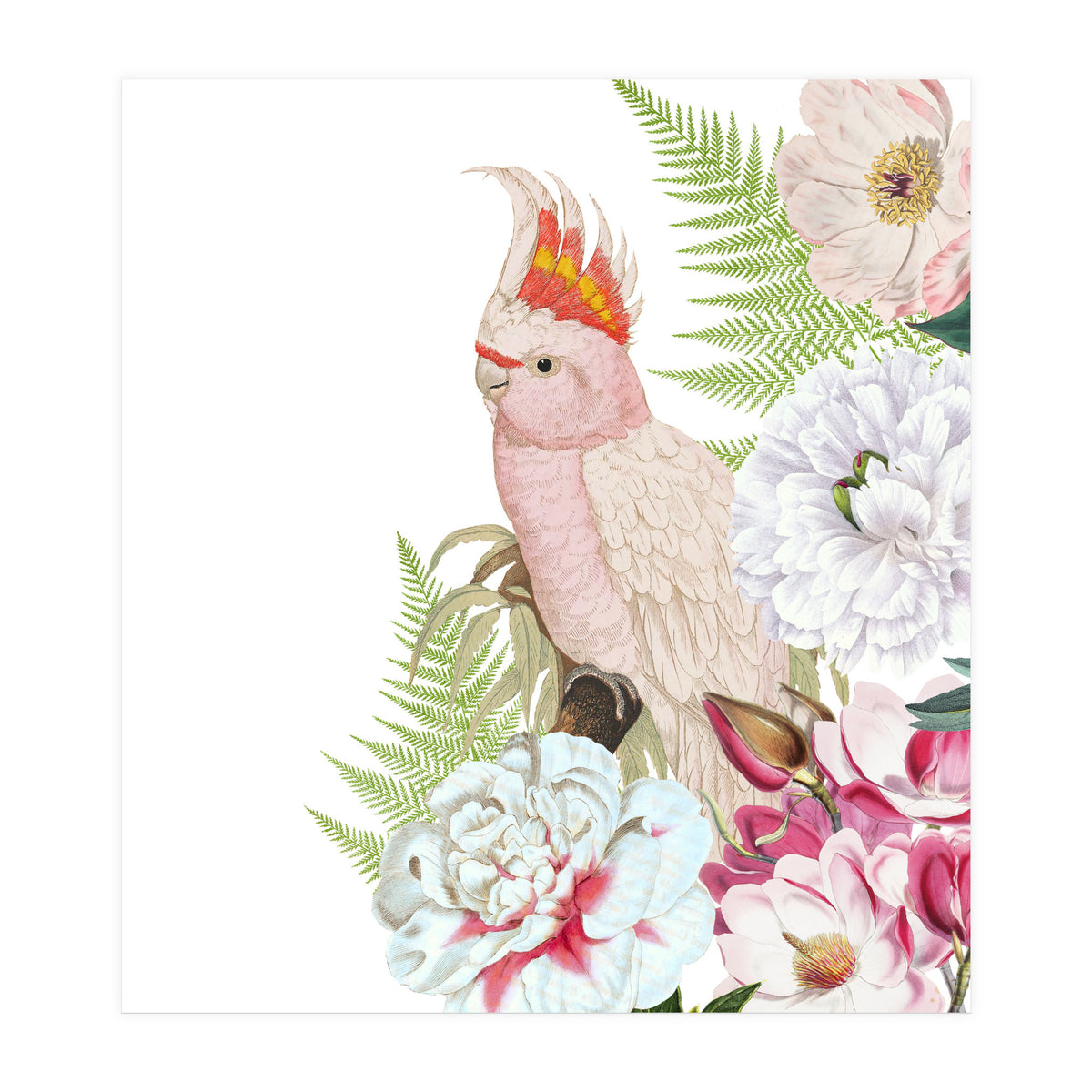 Cockatoo in Flower Jungle  (Print Only)
