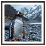 Gentoo Penguin Standing On A Rocky Shore thumbnail