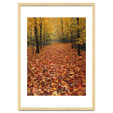 Ethereal Autumn Forest Path thumbnail