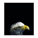 What It A Dream (Print Only) thumbnail