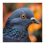 Close Up Of A Pigeon's Head And Neck (Print Only) thumbnail