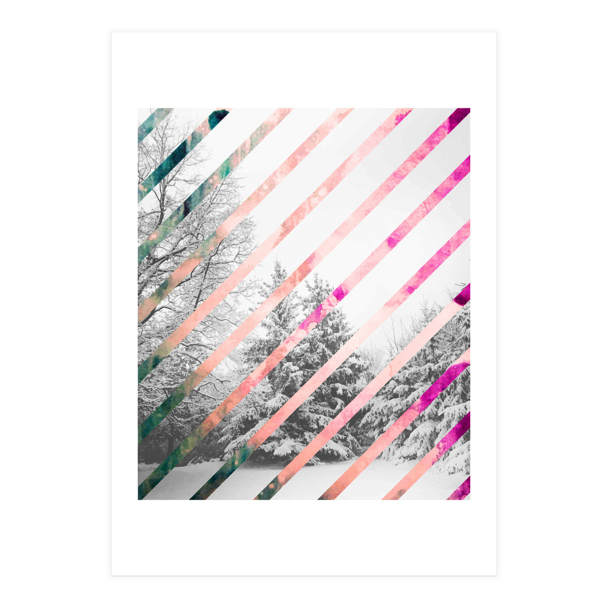 Snow Angel (Print Only)