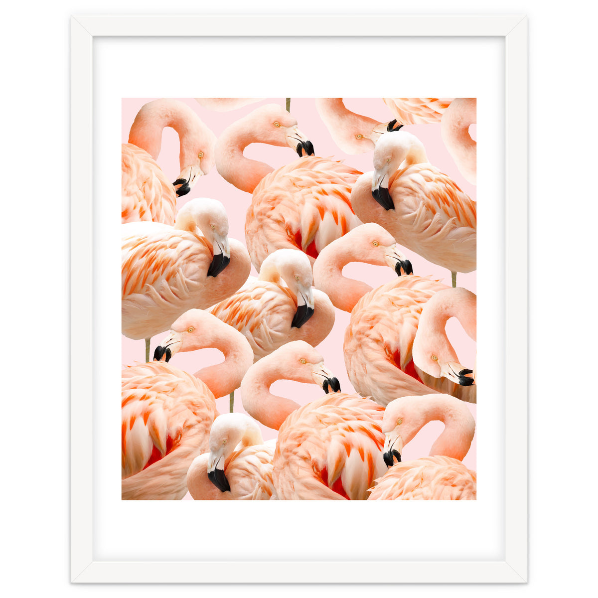Flamingo Blush #society6 #decor #buyart #flamingoart