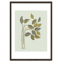 Olivia muted botanical oils