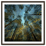Enchanted Night Forest with Glowing Fireflies thumbnail
