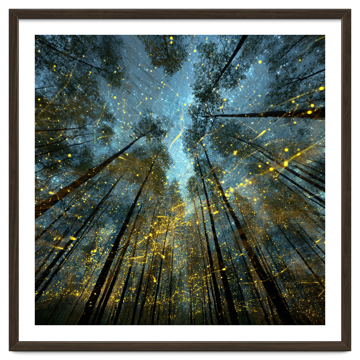 Enchanted Night Forest with Glowing Fireflies