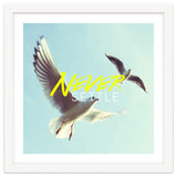 Never Settle thumbnail