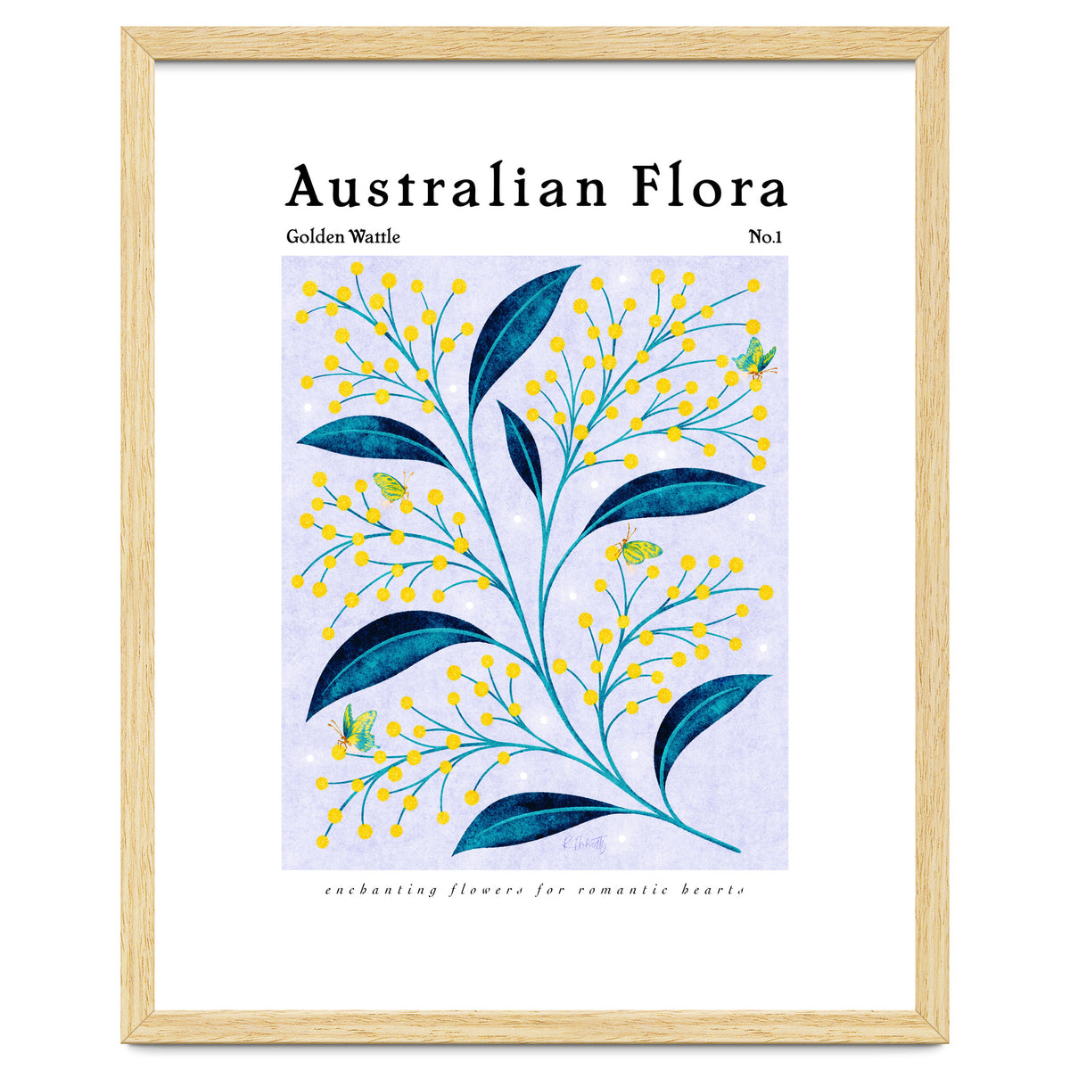 Australian Flora: Golden Wattle