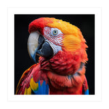 Scarlet Macaw Parrot Close Up Portrait Vivid Colors (Print Only) thumbnail