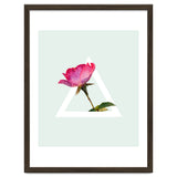 Rose thumbnail