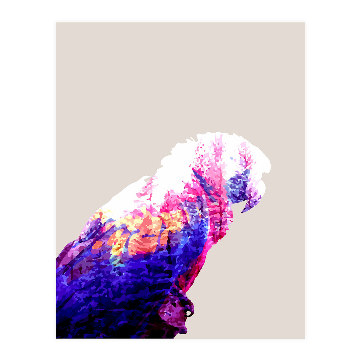 Macaw (Print Only)