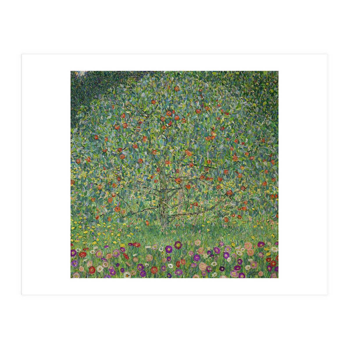 Apple Tree I, 1911 or 1912. Estates of Ferdinand and Adele Bloch-Bauer. (Print Only)