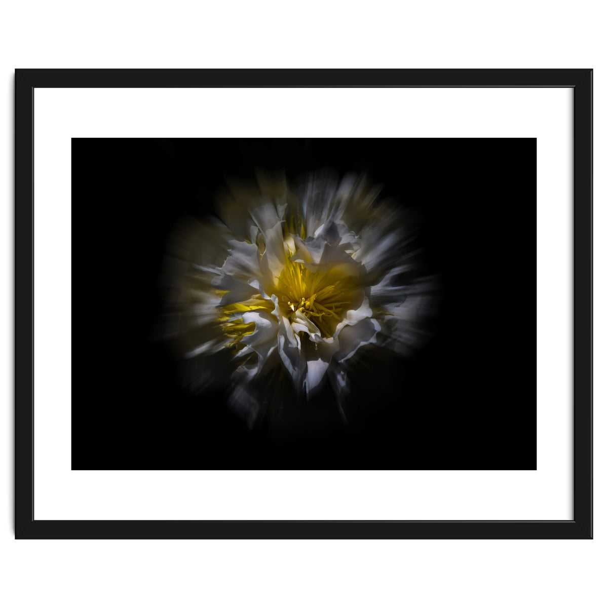 Backyard Flowers No 25 Color Flow Version