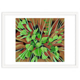 Meadow at spring thumbnail