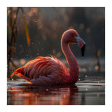Pink Flamingo Swimming In Sunlight Water (Print Only) thumbnail