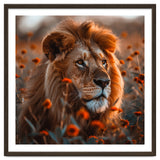 Majestic Lion Resting Among Orange Flowers thumbnail