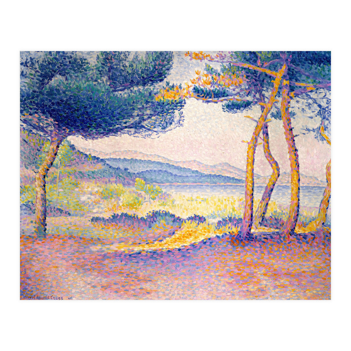 Pines Along the Shore. (Print Only)