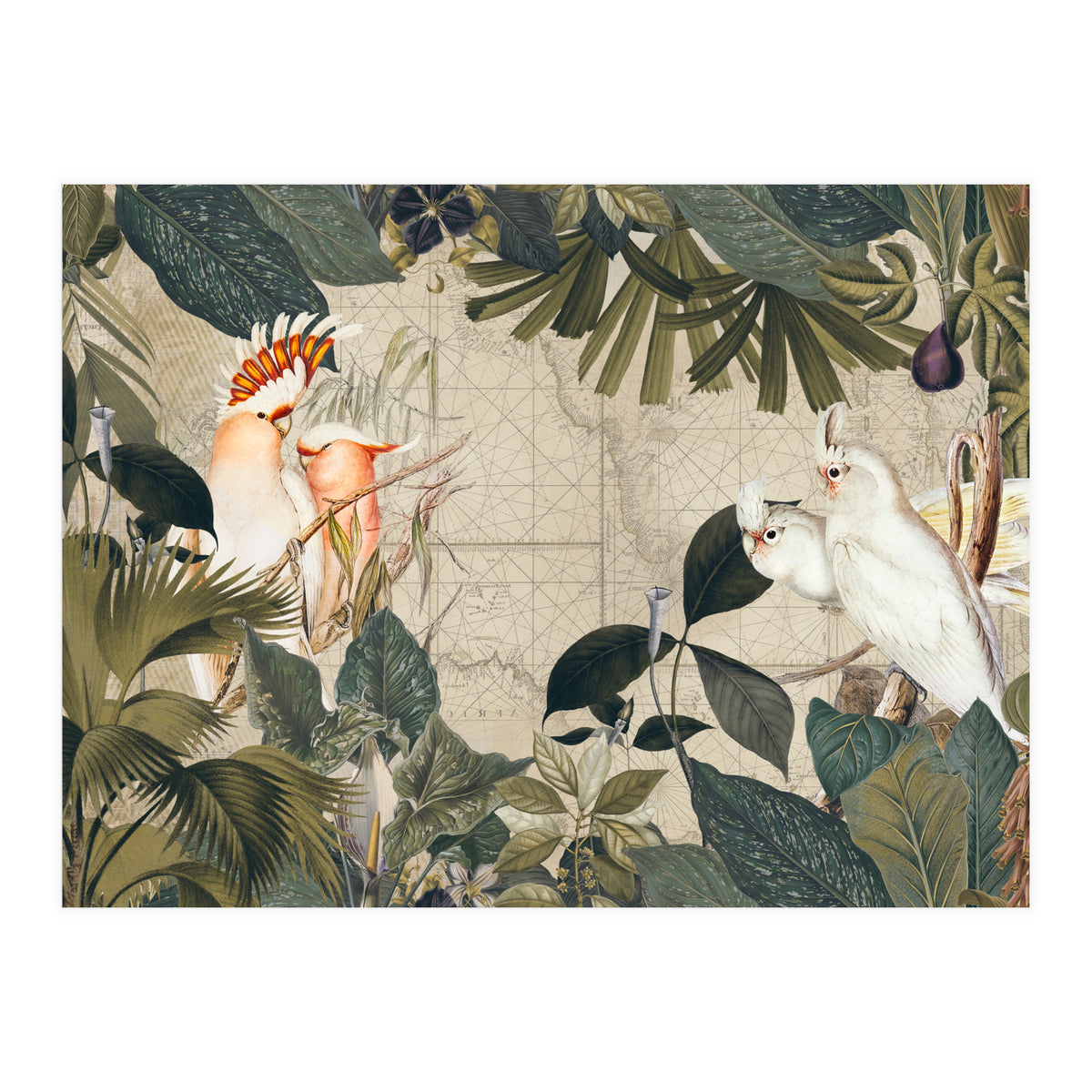 Cockatoo Island (Print Only)