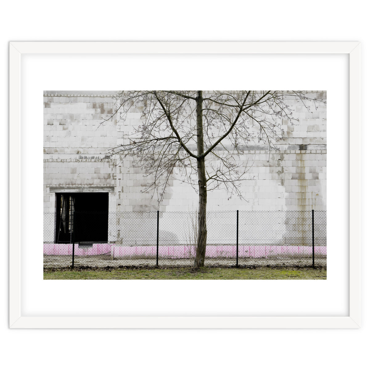 A tree in front of the wall