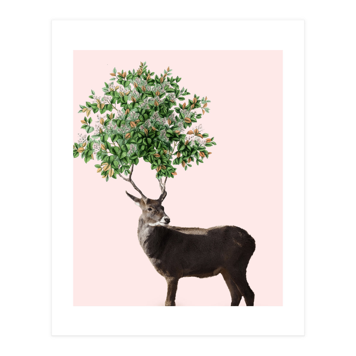 One With Nature V2 (Print Only)