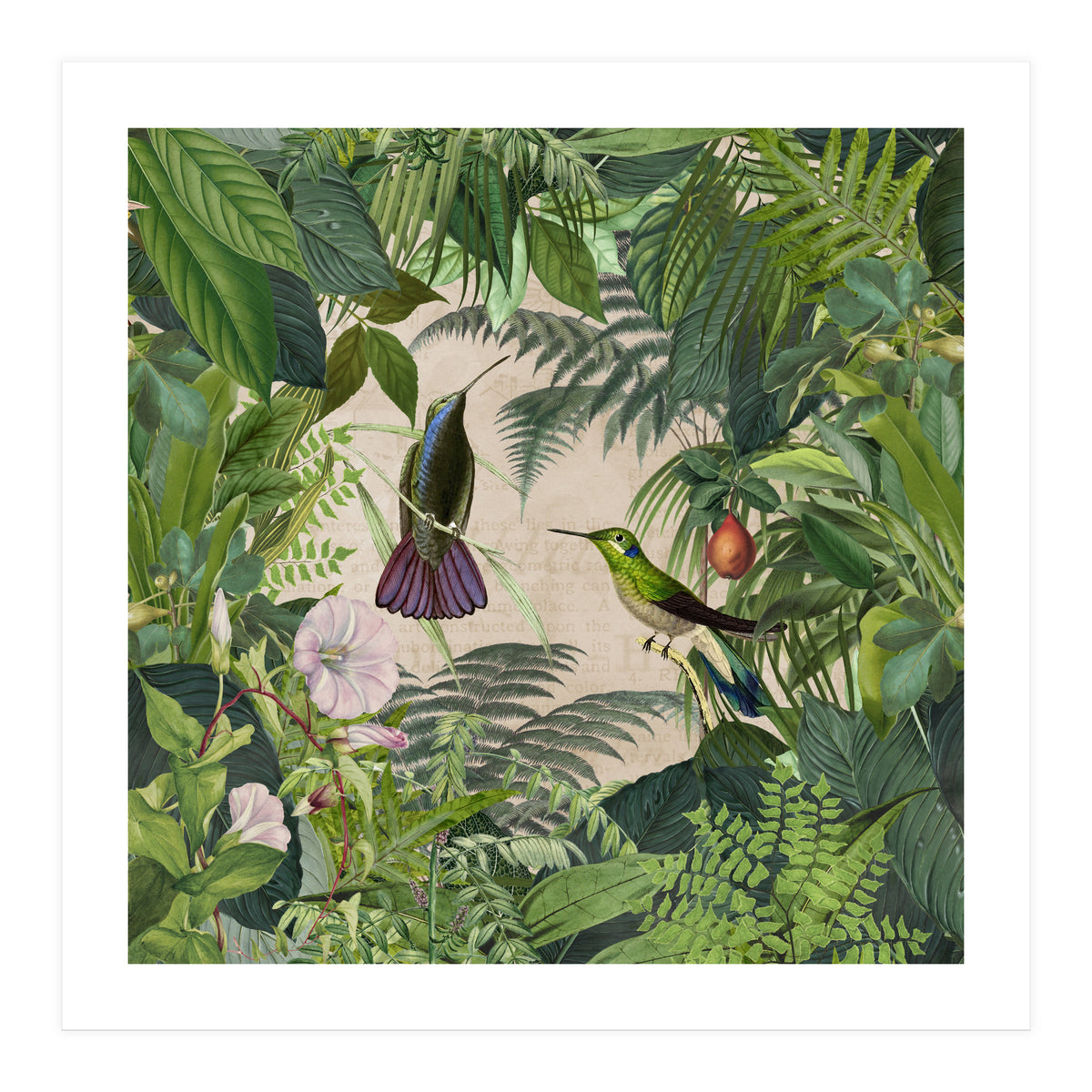 Tropical Hummingbird Jungle (Print Only)