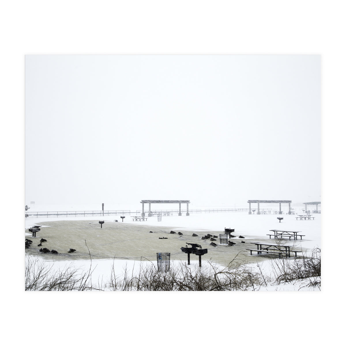 Blackbirds surrounding a frozen pond in winter (Print Only)