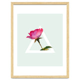 Rose thumbnail