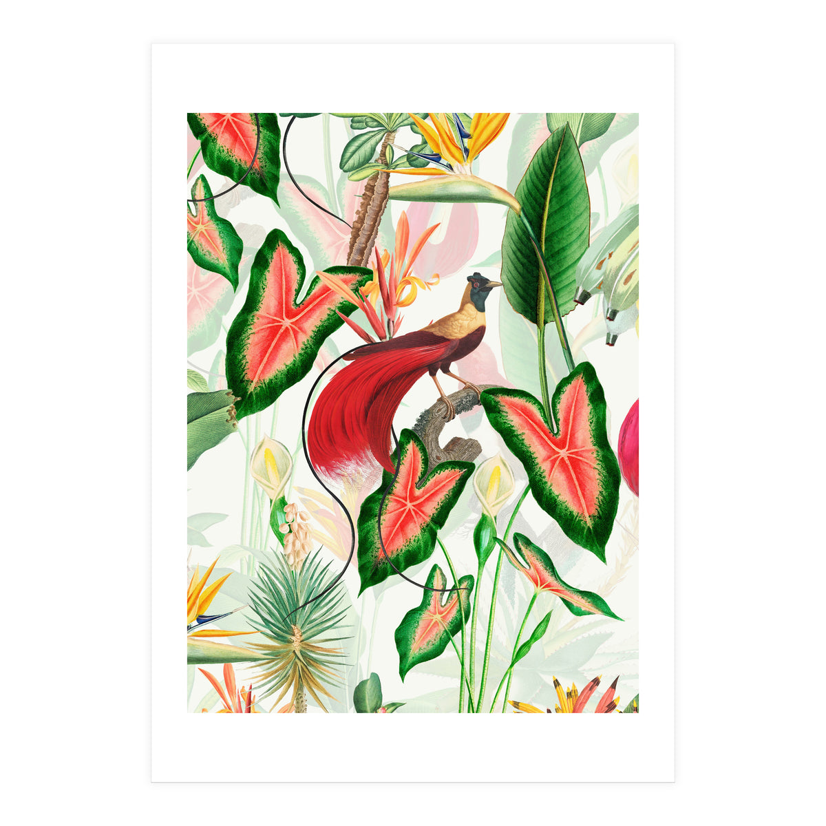 Vintage Bird Of Paradise in Jungle (Print Only)