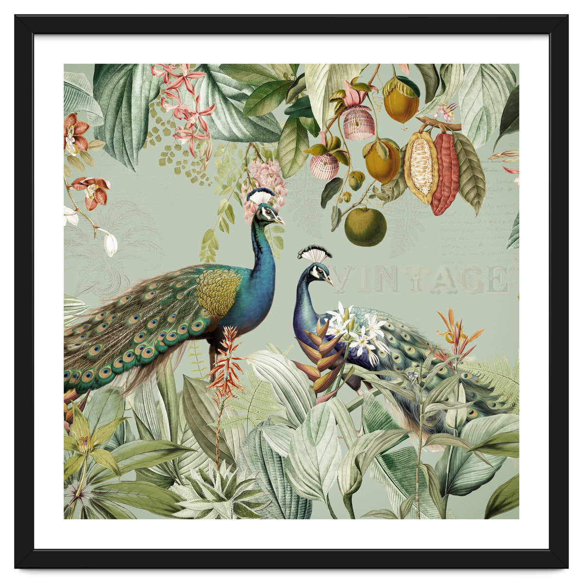 Vintage Exotic Asian Peacocks In Tropical Jungle Landscape