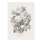 Currier & Ives – Rose of May (1870) (Print Only) thumbnail