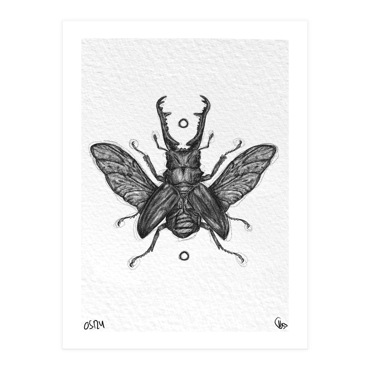 Giraffen Hirschkäfer (Print Only)